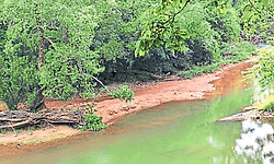 Kollur: ಕುಂಟನಮಡಿಕೆ ಹೊಳೆಗೆ ಬೇಕು ಸೇತುವೆ