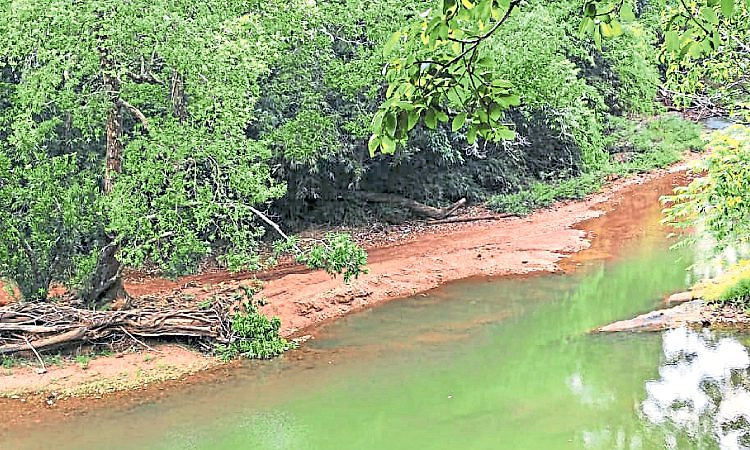 Kollur: ಕುಂಟನಮಡಿಕೆ ಹೊಳೆಗೆ ಬೇಕು ಸೇತುವೆ