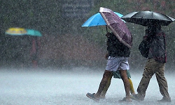 'Punarvasu' showers bring heavy rain across 13 districts along Western Ghats foothills