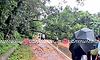 ಮಾಣಿ–ಮೈಸೂರು ರಸ್ತೆಗೆ ಬೃಹತ್ ಮರ ಬಿದ್ದು ಸಂಚಾರ ಅಸ್ತವ್ಯಸ್ತ
