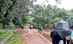 ಮಾಣಿ–ಮೈಸೂರು ರಸ್ತೆಗೆ ಬೃಹತ್ ಮರ ಬಿದ್ದು ಸಂಚಾರ ಅಸ್ತವ್ಯಸ್ತ