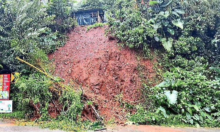 Chikkamagaluru: ಮೂಡಿಗೆರೆಯಲ್ಲಿ ಧಾರಾಕಾರ ಮಳೆ; ಧರೆ ಕುಸಿದು ಗ್ರಾಮಸ್ಥರಲ್ಲಿ ಆತಂಕ