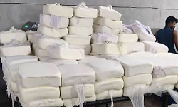 Strict guidelines needed to curb fake paneer trade
