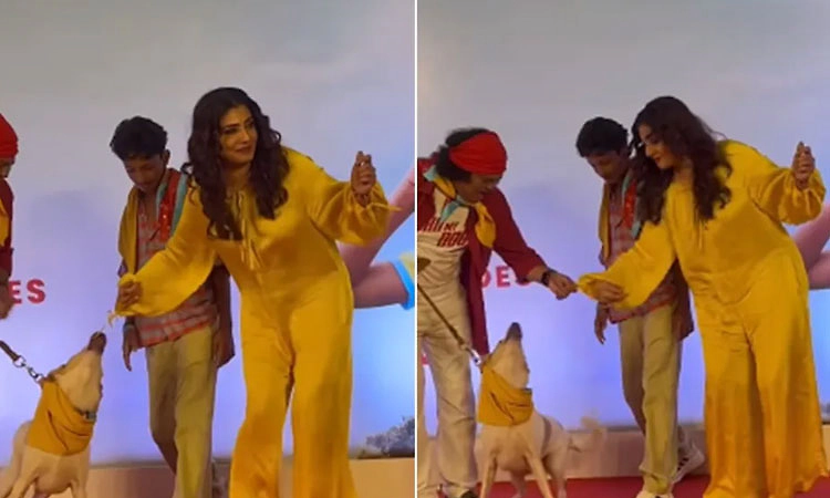 Video: ʼಕೆಜಿಎಫ್‌ʼ ನಟಿಗೆ ಕಚ್ಚಲು ಬಂದ ನಾಯಿ; ಕ್ಷಣಾರ್ಧದಲ್ಲೇ ವೈರಲ್‌ ಆಯ್ತು ವಿಡಿಯೋ