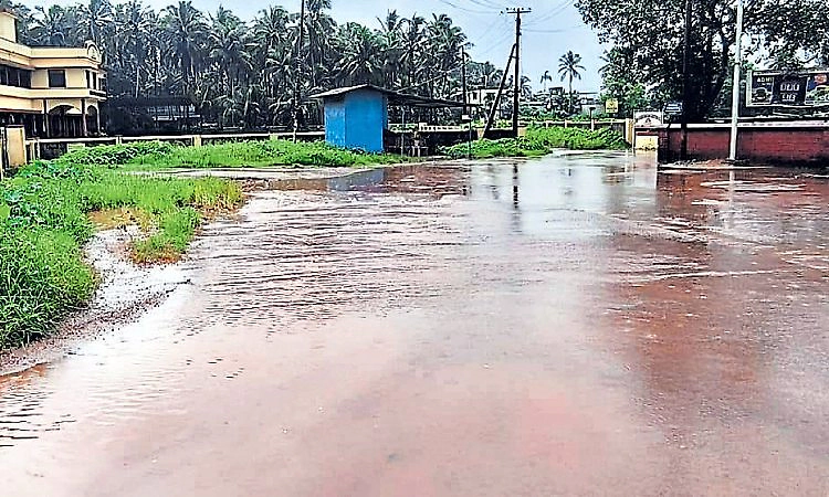 ತಿರುವೈಲು: ಏರುತಗ್ಗಿನ ನಡುವೆ ಏಳುಬೀಳು