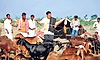 ಬಡವರ ಮರೆತ ಪ್ರಜಾ ಸೇವಕ ಸಿಎಂ: ಬಿ.ವೈ. ವಿಜಯೇಂದ್ರ