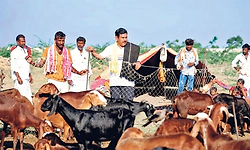 ಬಡವರ ಮರೆತ ಪ್ರಜಾ ಸೇವಕ ಸಿಎಂ: ಬಿ.ವೈ. ವಿಜಯೇಂದ್ರ