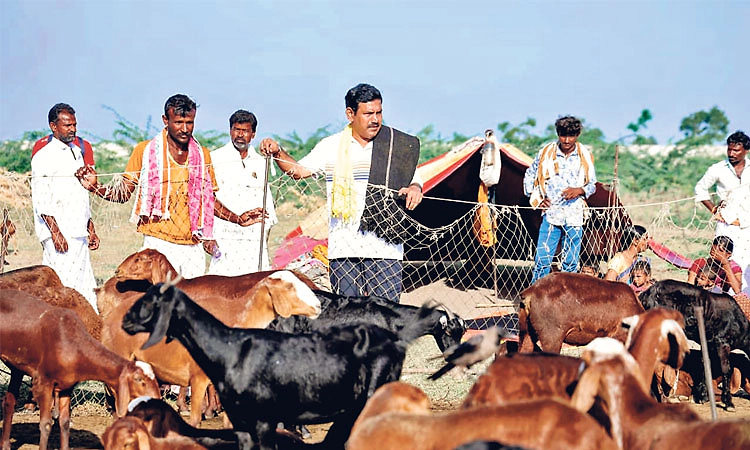ಬಡವರ ಮರೆತ ಪ್ರಜಾ ಸೇವಕ ಸಿಎಂ: ಬಿ.ವೈ. ವಿಜಯೇಂದ್ರ