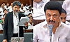 "ಇಎಂಐ ರೀತಿ ಲಂಚ ಪಡೆಯಲಾಗಿದೆ..": ವಿಧಾನಸಭೆಯಲ್ಲಿ ಡಿಎಂಕೆ ವಿರುದ್ಧ ಸಿಎಂ ವಿಜಯ್ ಆರೋಪ