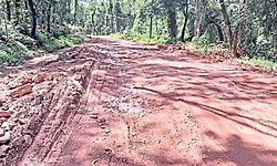 ಸಂಚರಿಸುವುದೇ ಅಪಾಯ: ಸಮಸ್ಯೆ ಪರಿಹರಿಸಲು ಆಗ್ರಹ