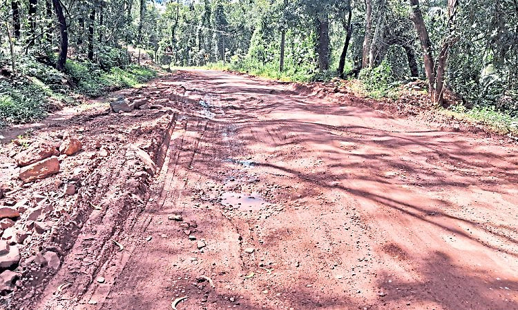 ಸಂಚರಿಸುವುದೇ ಅಪಾಯ: ಸಮಸ್ಯೆ ಪರಿಹರಿಸಲು ಆಗ್ರಹ