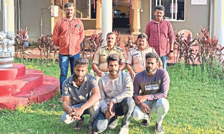 Police nab three for stealing cows at knifepoint in Ajekaru village