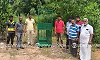 Leopard menace in Sooda, Makkeribailu: Forest Department sets up cage following report