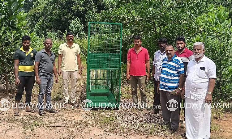 Leopard menace in Sooda, Makkeribailu: Forest Department sets up cage following report