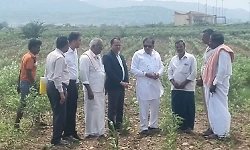 Ballari: Severe drought in state; proposal submitted to Centre seeking Rs 11,000 crore relief