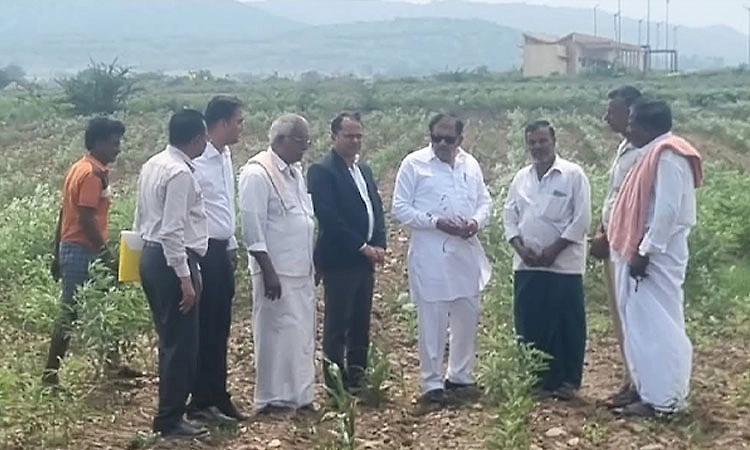 Ballari: Severe drought in state; proposal submitted to Centre seeking Rs 11,000 crore relief