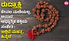 ರುದ್ರಾಕ್ಷಿ ಕೇವಲ ಮಣಿಯಲ್ಲ, ಅಪಾರ ಆಧ್ಯಾತ್ಮಿಕ ಶಕ್ತಿಯ ಸಂಕೇತ : ಇಲ್ಲಿದೆ ಮಹತ್ವ, ಹಿನ್ನೆಲೆ