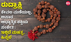 ರುದ್ರಾಕ್ಷಿ ಕೇವಲ ಮಣಿಯಲ್ಲ, ಅಪಾರ ಆಧ್ಯಾತ್ಮಿಕ ಶಕ್ತಿಯ ಸಂಕೇತ : ಇಲ್ಲಿದೆ ಮಹತ್ವ, ಹಿನ್ನೆಲೆ