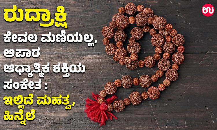 ರುದ್ರಾಕ್ಷಿ ಕೇವಲ ಮಣಿಯಲ್ಲ, ಅಪಾರ ಆಧ್ಯಾತ್ಮಿಕ ಶಕ್ತಿಯ ಸಂಕೇತ : ಇಲ್ಲಿದೆ ಮಹತ್ವ, ಹಿನ್ನೆಲೆ