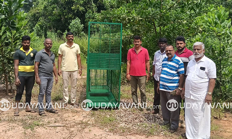 ವರದಿಗೆ ಸ್ಪಂದನೆ: ಸೂಡ, ಮಕ್ಕೇರಿಬೈಲು ಪರಿಸರದಲ್ಲಿ ಚಿರತೆ ಹಾವಳಿ; ಬೋನು ತಂದಿರಿಸಿದ ಇಲಾಖೆ