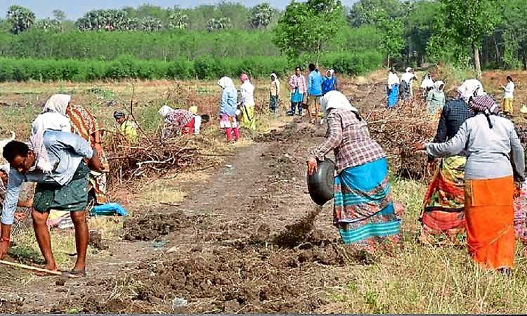E-KYC made mandatory for NREGA job cards in Karnataka