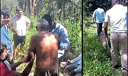 Chikkamagalur: ಕಾಡಲ್ಲಿ ನಾಪತ್ತೆಯಾಗಿದ್ದ ವೃದ್ಧ ವೈದ್ಯರನ್ನು ಪತ್ತೆ ಮಾಡಿದ ಪೊಲೀಸ್‌ ಶ್ವಾನ