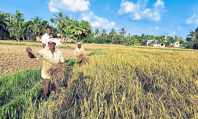 Kaup: ಹಾವೇರಿ ಹೈದರಿಂದ ಕೃಷಿ ಸಂಸ್ಕೃತಿ ಜೀವಂತ!
