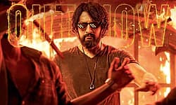 Mark Trailer: ಮಾಸ್‌ ಮಸಾಲಾ ಮಾರ್ಕ್…:‌ ಟ್ರೇಲರ್‌ನಲ್ಲಿ ಅಬ್ಬರಿಸಿದ ಕಿಚ್ಚ ಸುದೀಪ