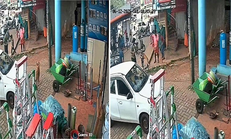 Perla: ಬಾಲಕನ ಅಟ್ಟಾಡಿಸಿ ಕಚ್ಚಿದ ಬೀದಿ ನಾಯಿ