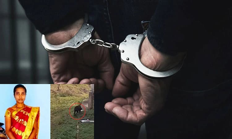 Davangere: ಮಹಿಳೆಯನ್ನು ಕೊಂದ ರಾಟ್ ವೀಲರ್ ನಾಯಿಯ ಮಾಲಿಕನ ಬಂಧನ
