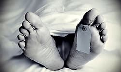 Siddapura: ಬೈಕ್ ಢಿಕ್ಕಿ; ಪಾದಾಚಾರಿ ಸಾವು