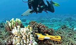 ಆಂಧ್ರದಲ್ಲಿ ತಲೆ ಎತ್ತಲಿದೆ ಆಳ ಸಮುದ್ರ ಸೂಕ್ಷ್ಮಾಣು ಕೇಂದ್ರ