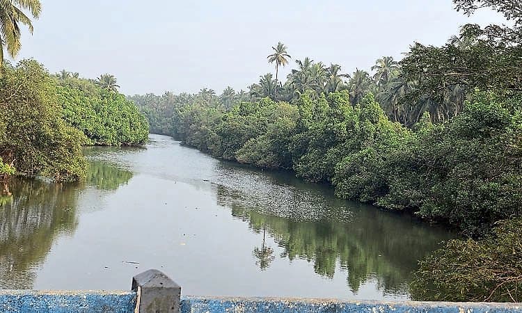 ಉಳ್ಳಾಲದ ನದಿ ತಟಗಳೂ ಆಕರ್ಷಕ- ಜನಪ್ರಿಯವಾಗುತ್ತಿದೆ ಮಂಜನಕುದ್ರುವಿನ ಬೀಚ್‌