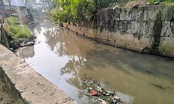 ಮಂಗಳೂರು ನಗರದ ರಾಜಕಾಲುವೆಗಳು ಕೊಳಚೆ ನೀರಿನ ಚರಂಡಿ!