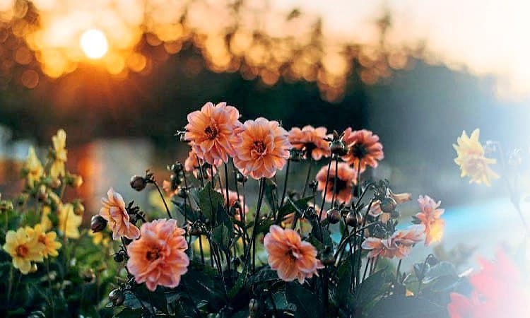 Life: ಈ ಬದುಕು ದೇವರಿತ್ತ ವರ; ಅದನ್ನು ಅಳಿಸುವ ಅಧಿಕಾರ ನಮಗಿಲ್ಲ