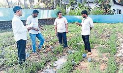 Kundapura: ಅತಿಯಾದ ರಾಸಾಯನಿಕ ಬಳಕೆ ಒಳಿತಲ್ಲ