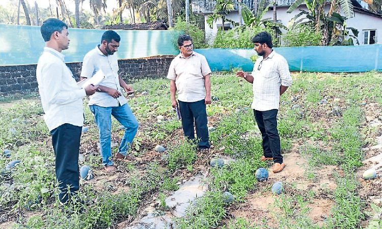 Kundapura: ಅತಿಯಾದ ರಾಸಾಯನಿಕ ಬಳಕೆ ಒಳಿತಲ್ಲ