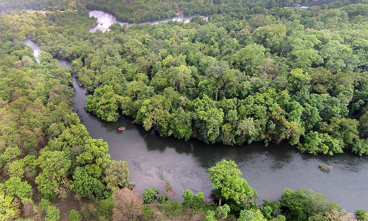 Centre issues draft notification to declare ESZ around Karnataka's Kali Tiger Reserve