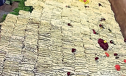 Jasmine bundles offered for Bappanadu Devi’s Shayana ritual