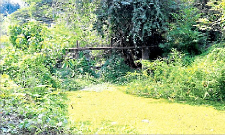 ಪಚ್ಚನಾಡಿ: ತ್ಯಾಜ್ಯ ವಾಸನೆಯಿಂದ ಮುಕ್ತಿ ಕೊಡಿ!