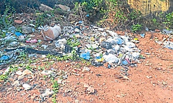 Udupi: ಕಸ ಸಂಗ್ರಹಣೆ, ನಿರ್ವಹಣೆಯಲ್ಲಿ ನಿರಾಸಕ್ತಿ?