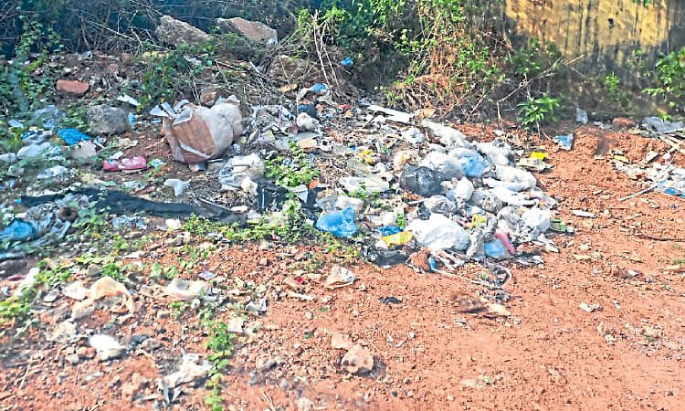 Udupi: ಕಸ ಸಂಗ್ರಹಣೆ, ನಿರ್ವಹಣೆಯಲ್ಲಿ ನಿರಾಸಕ್ತಿ?