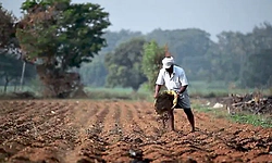 ಎಫ್‌ಐಡಿ: ಕರಾವಳಿಯಲ್ಲಿ 4.30 ಲಕ್ಷ ರೈತರಿಂದ ನೋಂದಣಿ