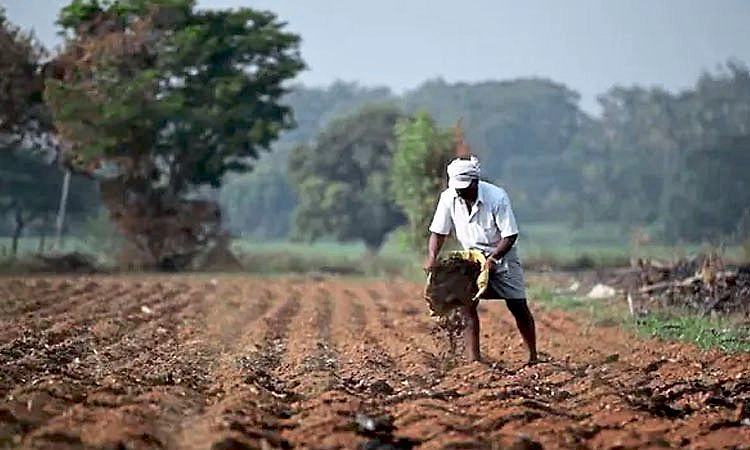 ಎಫ್‌ಐಡಿ: ಕರಾವಳಿಯಲ್ಲಿ 4.30 ಲಕ್ಷ ರೈತರಿಂದ ನೋಂದಣಿ