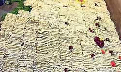 ಬಪ್ಪನಾಡು ದೇವಿಯ ಶಯನಕ್ಕೆ ಮಲ್ಲಿಗೆ ಚೆಂಡು ಸಮರ್ಪಣೆ