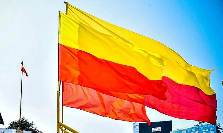 ಬೆಳಗಾವಿ: ಕನ್ನಡ ರಾಜ್ಯೋತ್ಸವ ಅನುದಾನ ದುರ್ಬಳಕೆ ಆರೋಪ; ತನಿಖೆಗೆ ಆದೇಶ