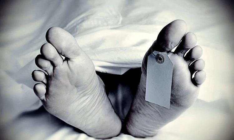 ಶಿವಮೊಗ್ಗ: KFD ಸೋಂಕಿಗೆ ವ್ಯಕ್ತಿ ಮೃತ್ಯು... ಜಿಲ್ಲೆಯಲ್ಲಿ ಸಂಭವಿಸಿದ ನಾಲ್ಕನೇ ಸಾವು