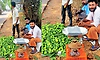 ಮರ ಏರುವ ರಮೇಶಣ್ಣನ ಕೈಗಳಲ್ಲೀಗ ಲಕ್ಷ ಲಕ್ಷ ರೂ. ಆದಾಯ!