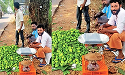 ಮರ ಏರುವ ರಮೇಶಣ್ಣನ ಕೈಗಳಲ್ಲೀಗ ಲಕ್ಷ ಲಕ್ಷ ರೂ. ಆದಾಯ!