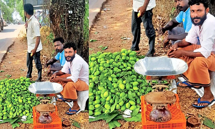 ಮರ ಏರುವ ರಮೇಶಣ್ಣನ ಕೈಗಳಲ್ಲೀಗ ಲಕ್ಷ ಲಕ್ಷ ರೂ. ಆದಾಯ!